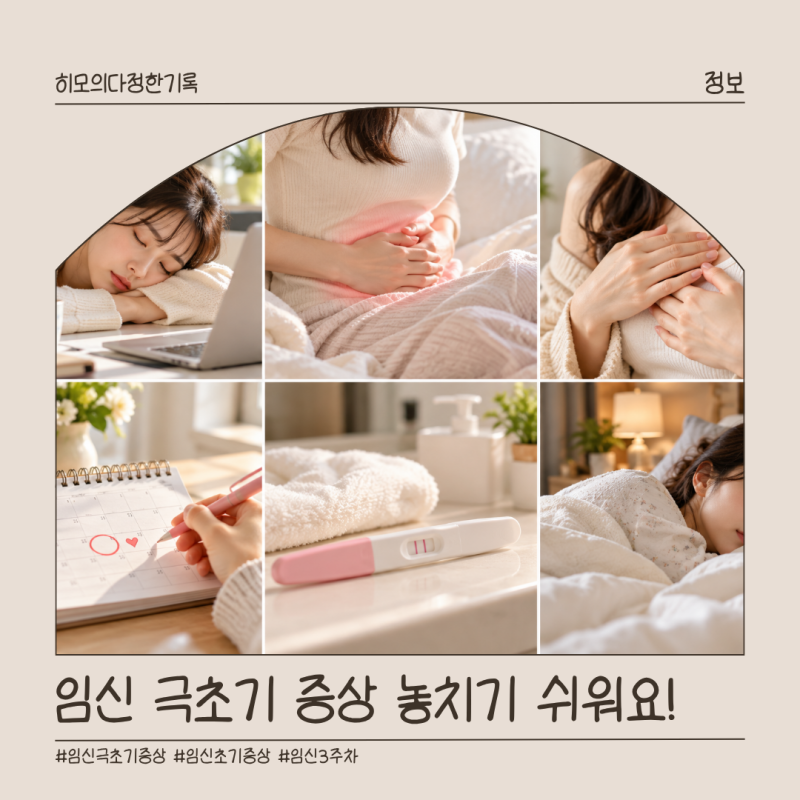 임신극초기증상 언제부터? 3주차 4주차 놓치기 쉬운 몸의 변화와 임테기 시기는?