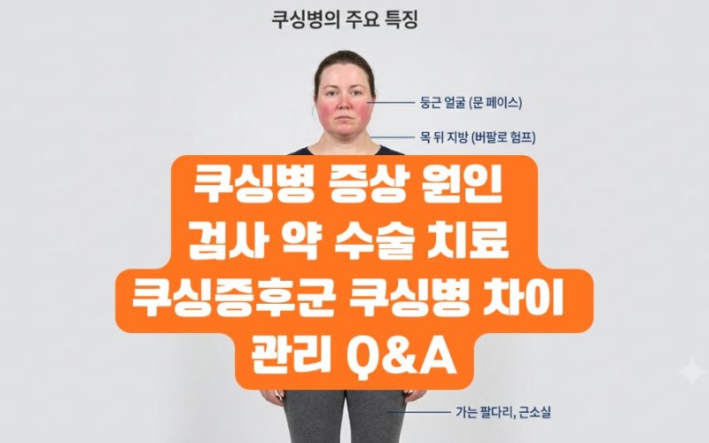 쿠싱병 증상 원인 검사 약 수술 치료 쿠싱증후군 쿠싱병 차이 관리 Q&A