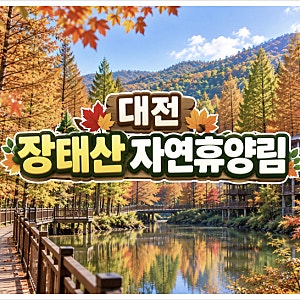 대전 장태산 자연휴양림 숙박 예약 방법! 단풍 시기 언제?