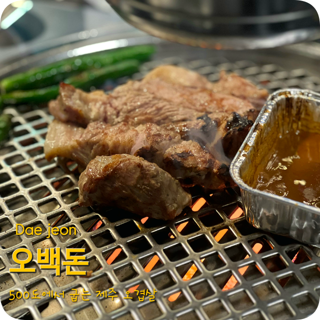 핫한 둔산동에 15년째 운영중인 블루리본 맛집 대전 삼겹살 맛집 오백돈