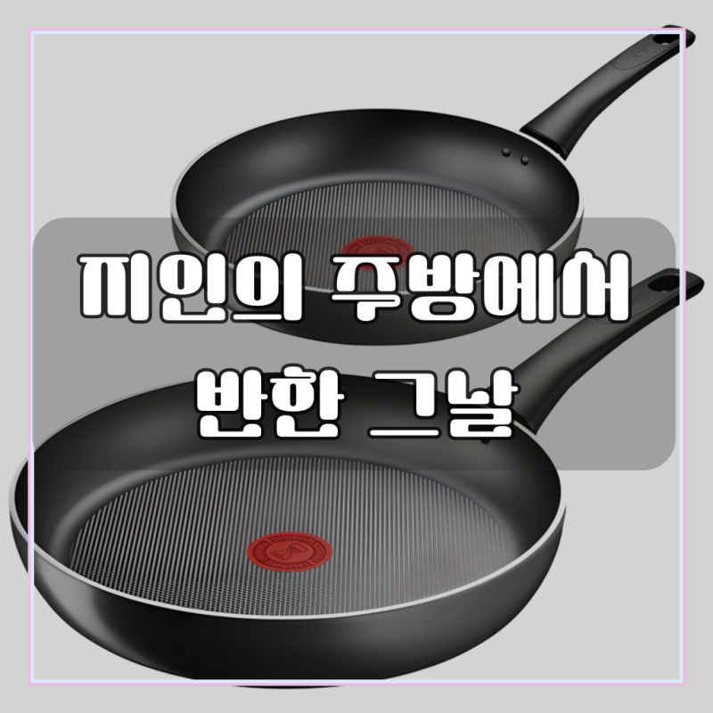 테팔 인덕션 티타늄 뉴 프로스타일 후라이팬 2종세트, 그레이, 1세트, 후라이팬20cm+후라이팬28....