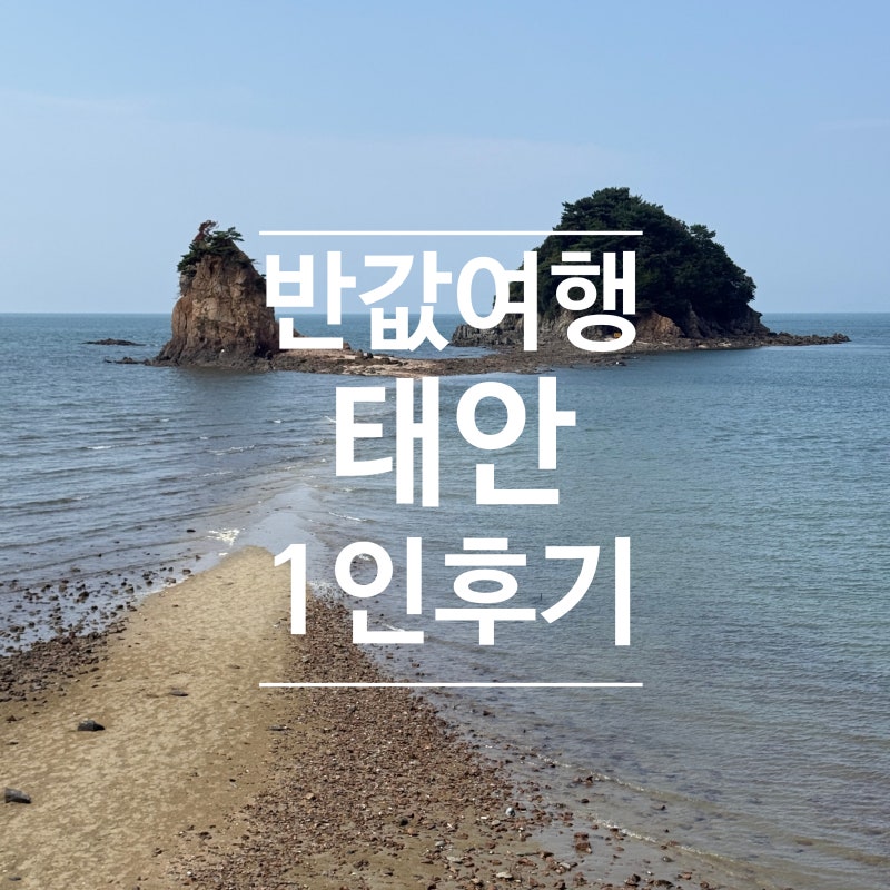 태안 반값여행 당일치기 후기 (홍성반값여행 지원금 주유소 사용)