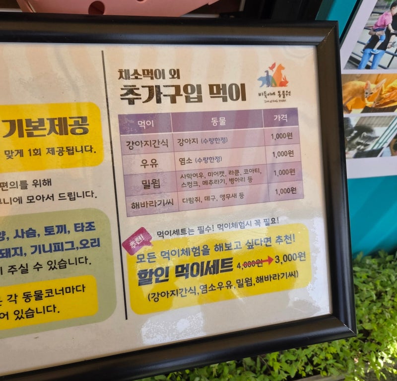 보령 아이와 가볼 만한 곳 | 바둑이네 동물원, 두 번 다녀왔어요