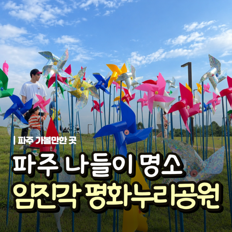 파주 임진각 평화누리공원｜주차·피크닉·텐트 가능 여부 + 2026 축제 정보