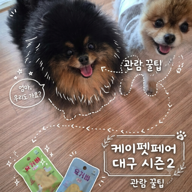 2026 케이펫페어 대구 시즌2 관람 꿀팁