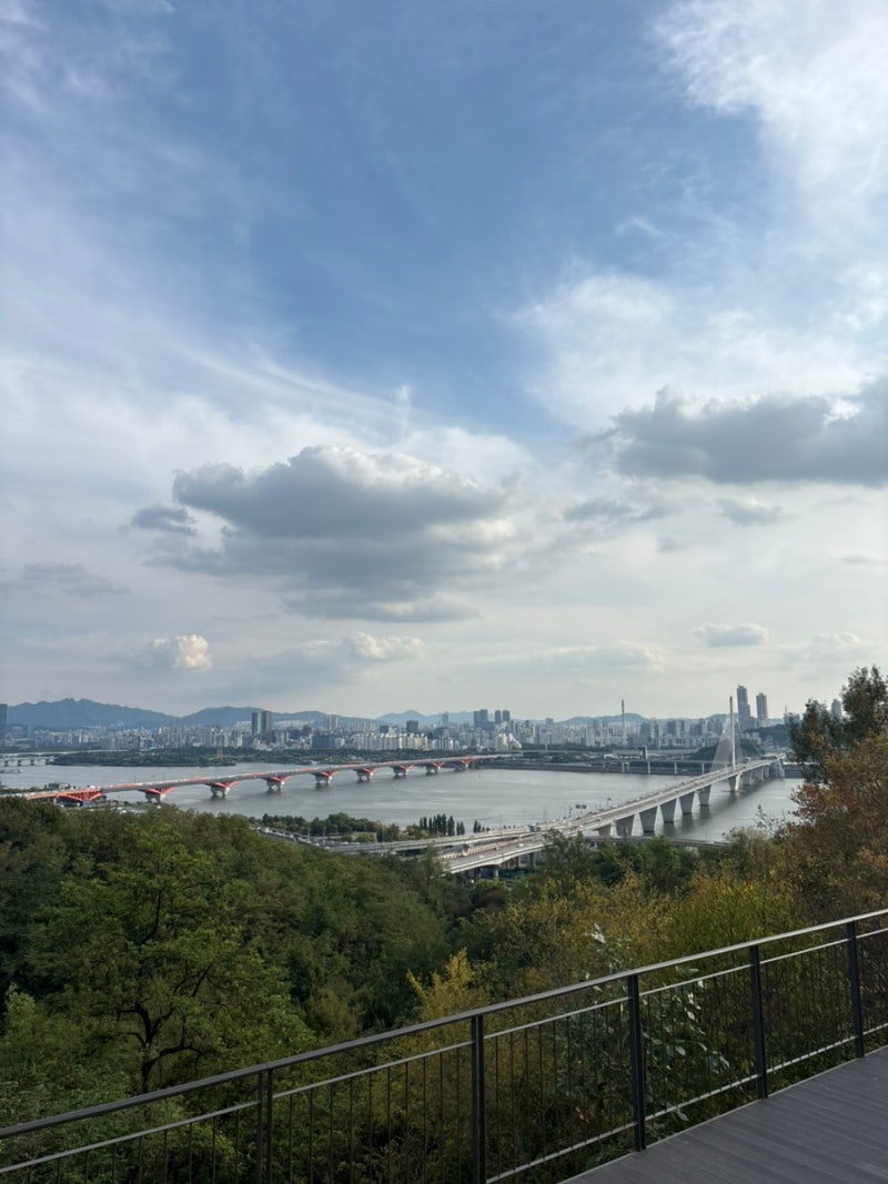 서울 상암동 하늘공원 부모님과 함께, 아이와 함께 산책하기 좋은 곳 | 맹꽁이열차 후기 & 억....