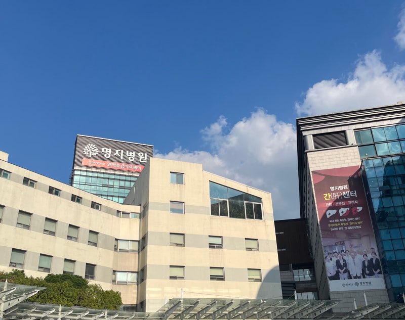 유두보존 전절제술 후 유두 괴사, 명지병원 고압산소치료 후기, 비용