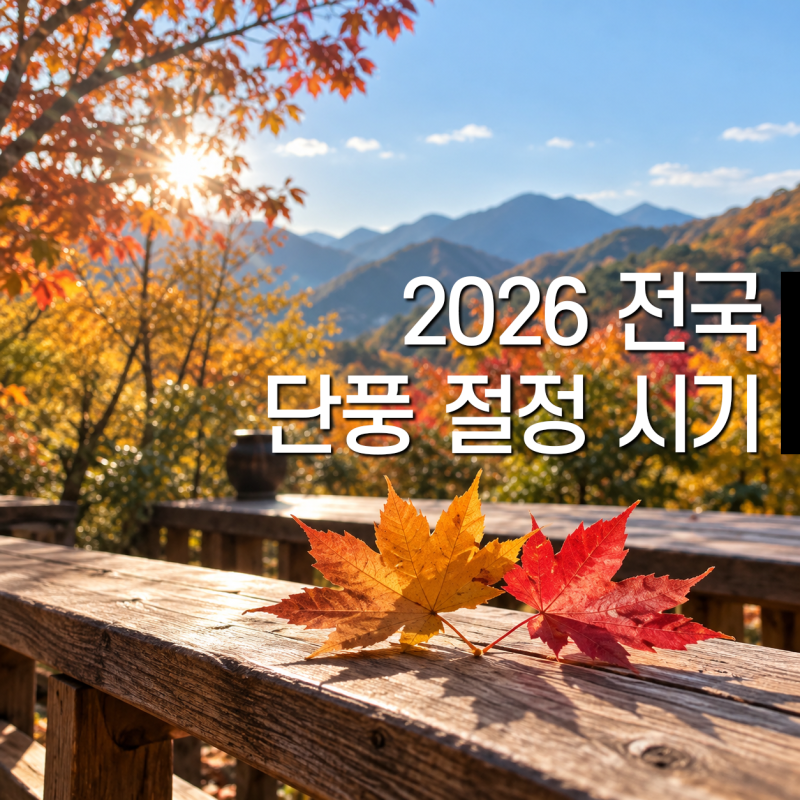 2026 전국 단풍 절정 시기, 올해 설악산·내장산·화담숲 단풍은 언제?