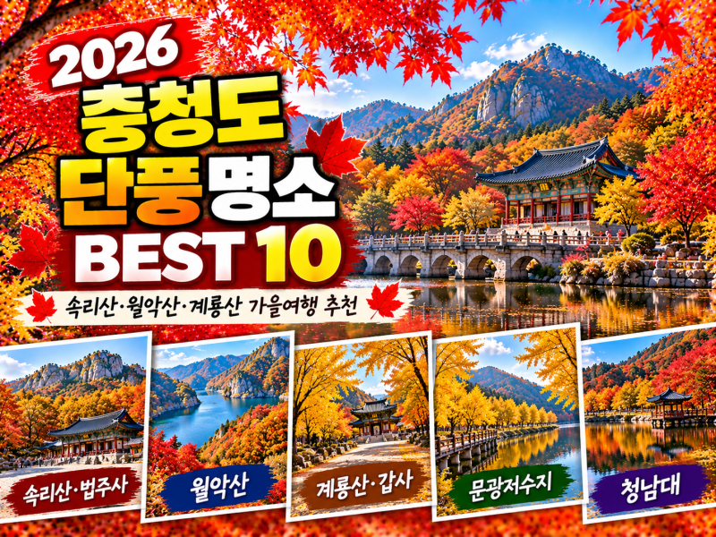 2026 충청도 단풍 명소 BEST 10｜속리산·월악산·계룡산 가을여행 추천