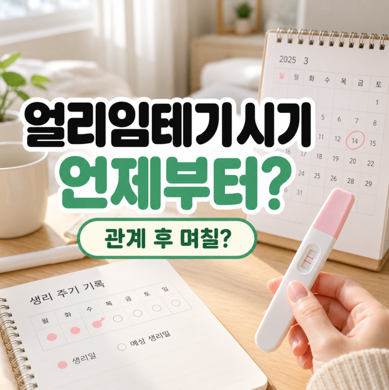 얼리임테기시기 언제부터? 관계 후 며칠, 생리예정일 기준 정리