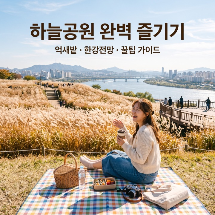 하늘공원 피크닉 완벽 가이드: 주차 꿀팁부터 맹꽁이열차 명당 자리 총정리