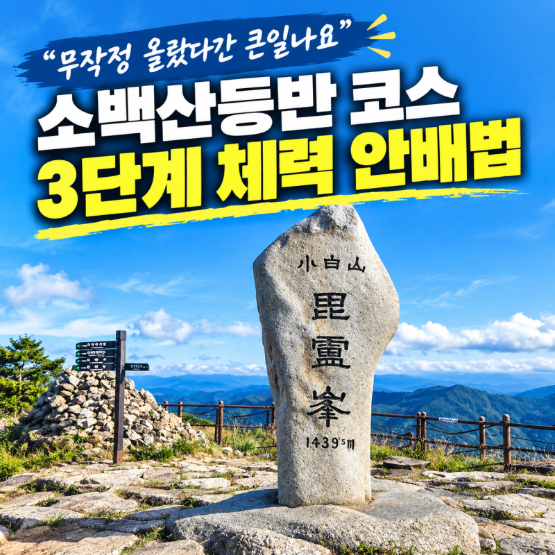 "무작정 올랐다간 큰일나요" 소백산등반 코스 3단계 체력 안배법