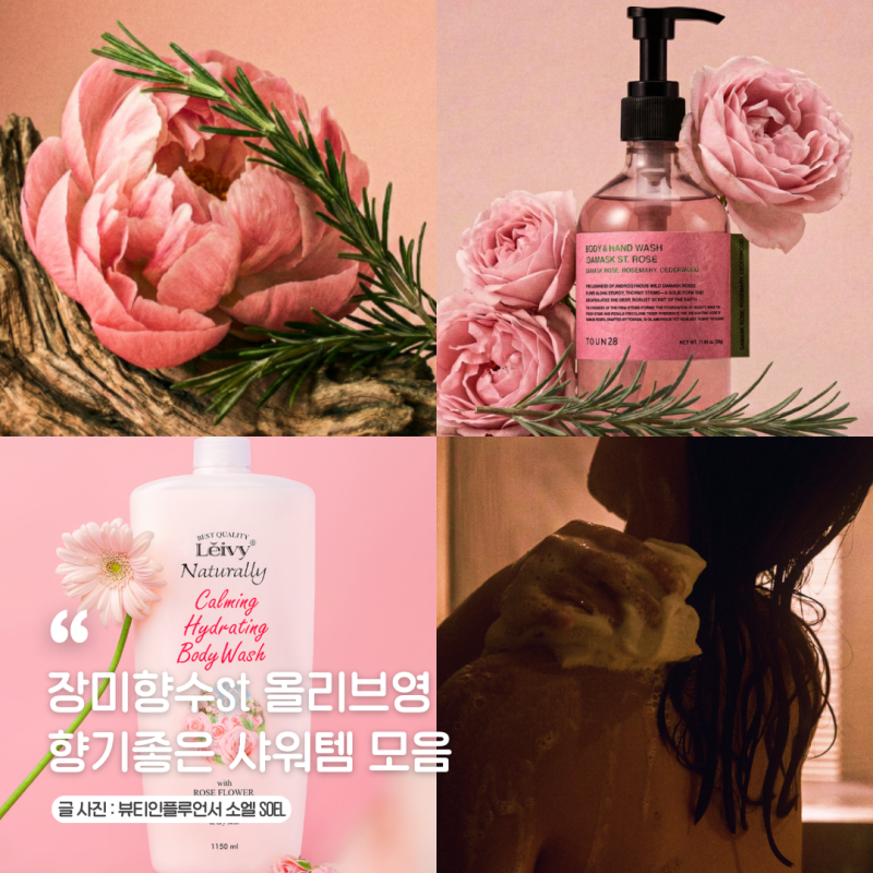장미향수st 올리브영 향기좋은 바디워시 샴푸 노워시트리트먼트 추천! 향좋은 샤워템 모음
