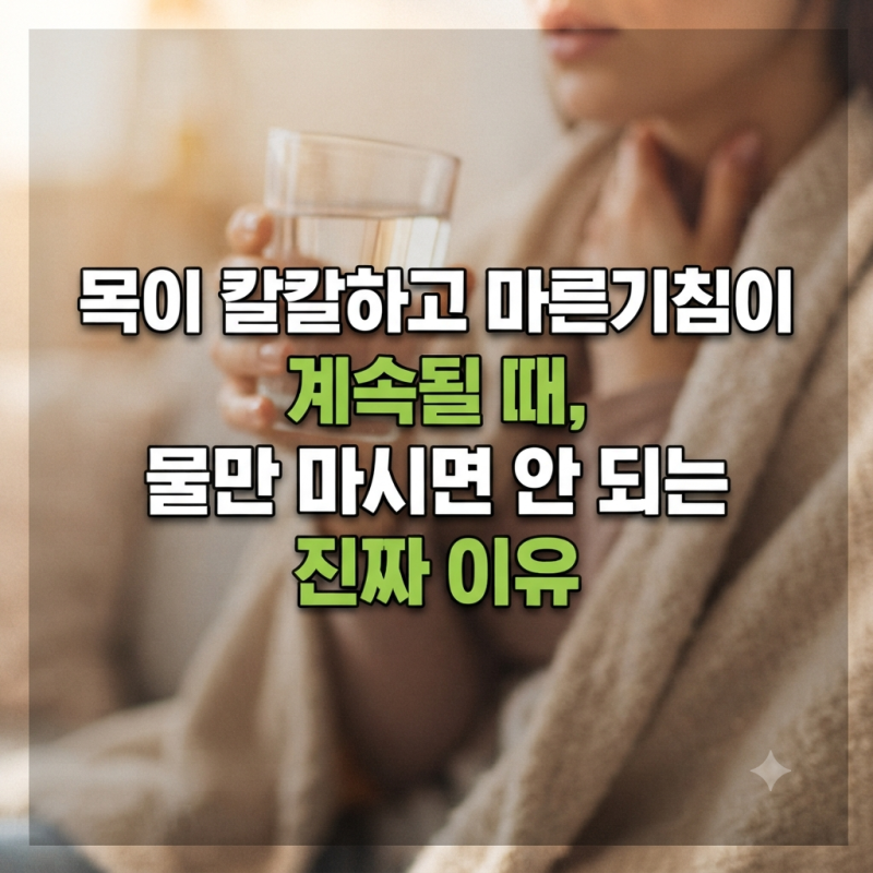 목이 칼칼하고 마른기침이 계속될 때, 물만 마시면 안 되는 진짜 이유