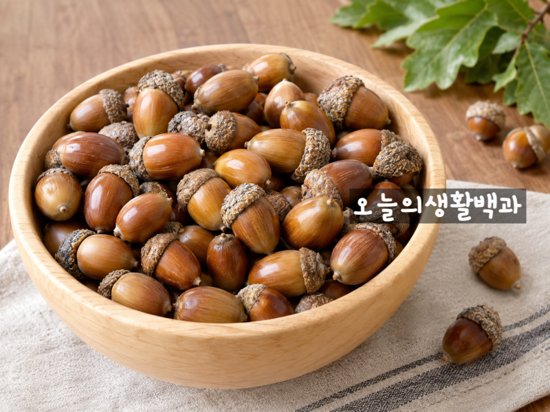 도토리가루만드는방법? 떫은맛 빼고 묵 만드는 방법까지