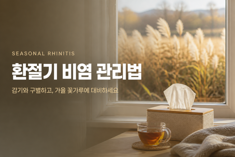 환절기 비염 관리법, 감기와 구별하는 법부터 가을 꽃가루 대처까지