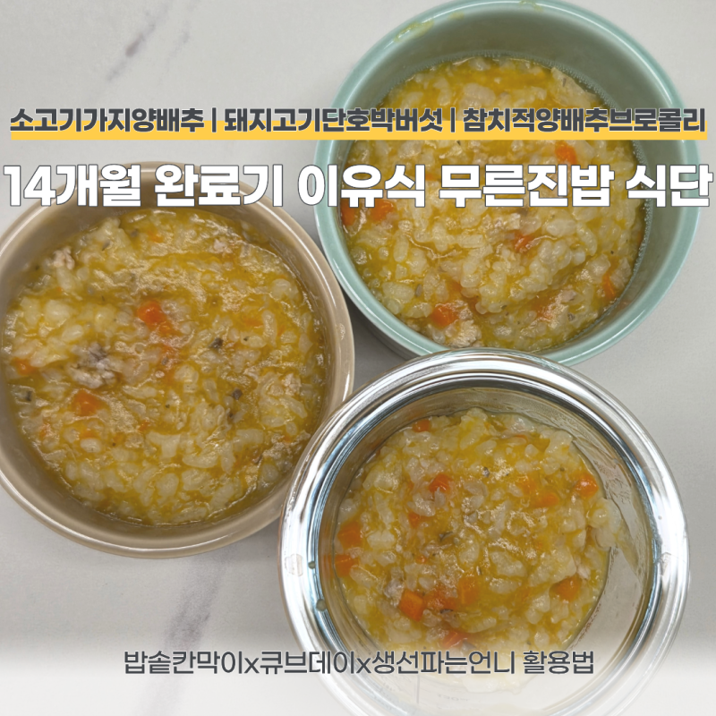 14개월 완료기 이유식 무른 진밥 레시피 | 돼지고기 단호박버섯소고기 가지양배추죽 | 참치 ....