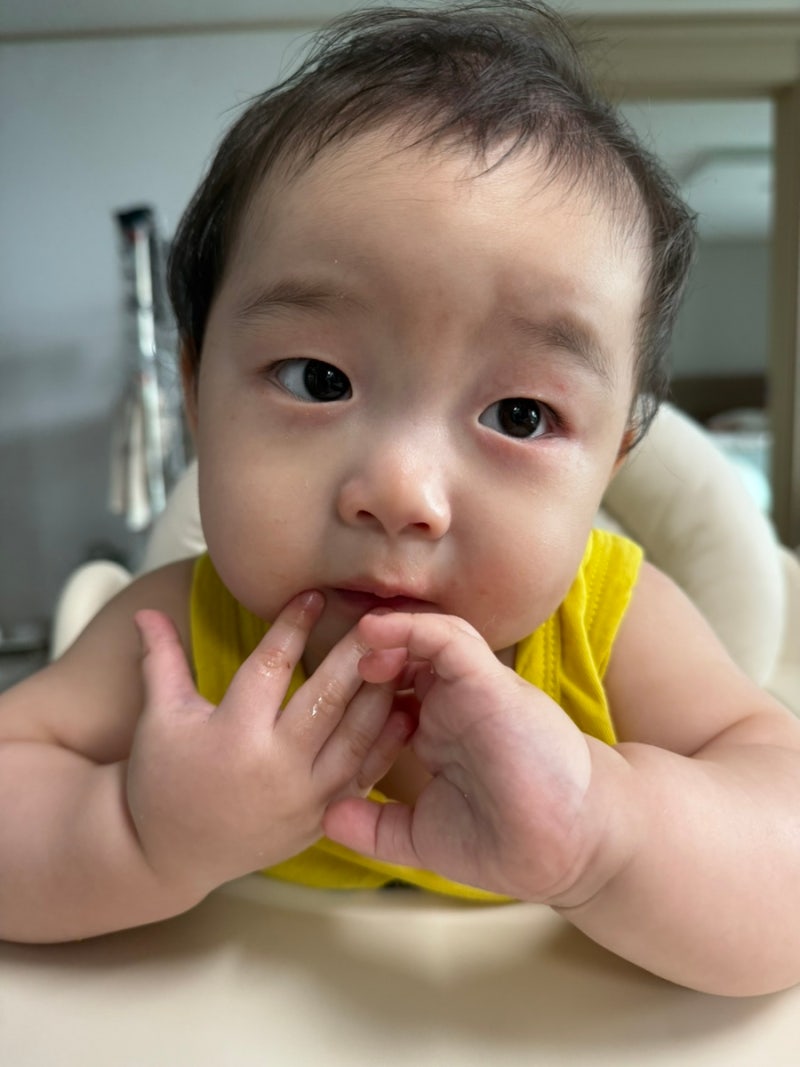 8개월 아기 이유식 거부 | 이앓이 증상과 6일간의 변화