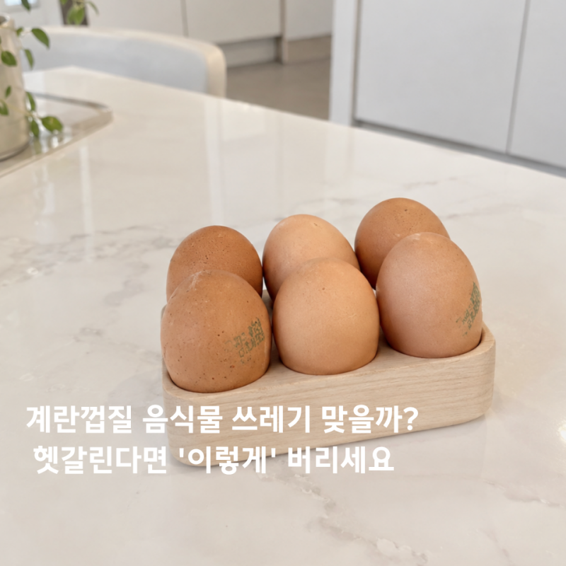 계란껍질 음식물 쓰레기 맞을까? 헷갈린다면 '이렇게' 버리세요 활용꿀팁 5가지