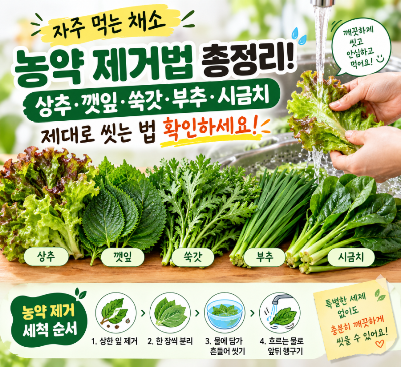 “상추·깻잎·쑥갓·부추·시금치 농약 제거법｜채소별 깨끗하게 씻는 방법 총정리”