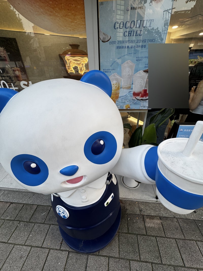 안암 카페 차백도 고대안암점 버블티 메뉴 추천ㅣ당도가 0%부터 120%까지 있어요