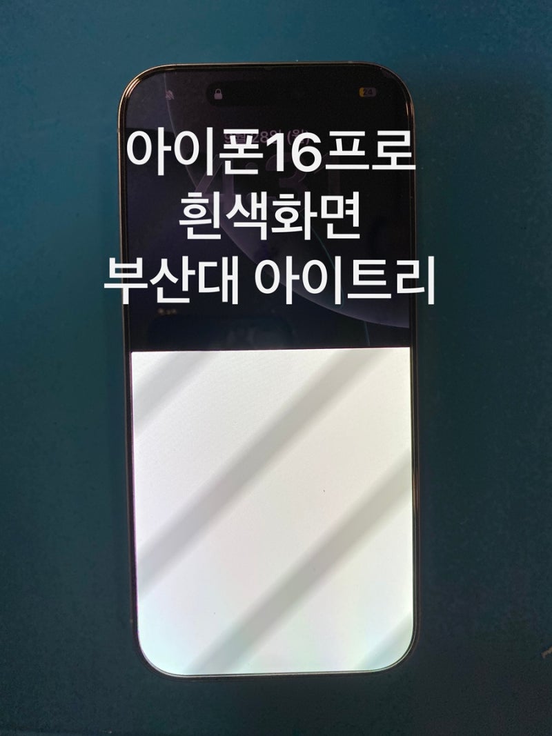 아이폰16프로 화면 절반이 하얗게 변했어요｜부산 아이폰 액정수리