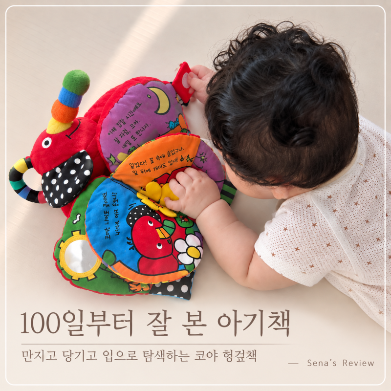 코야 헝겊책, 100일부터 6개월까지 잘 본 아기 헝겊책
