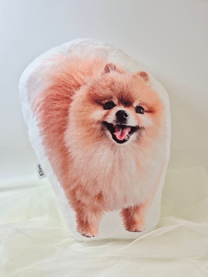 30cm 강아지 인형 주문제작 후기｜소중한 반려견을 꼭 닮은 맞춤 인형과 특별한 선물