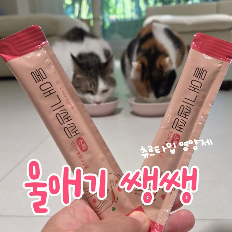 고양이 츄르타입 영양제, 사료 토핑으로 편하게 챙겨봤어요