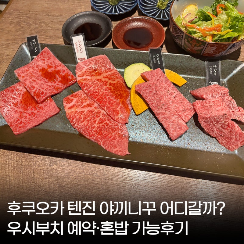 후쿠오카 텐진 야끼니꾸 어디갈까? 우시부치 예약·혼밥 가능 맛집 후기
