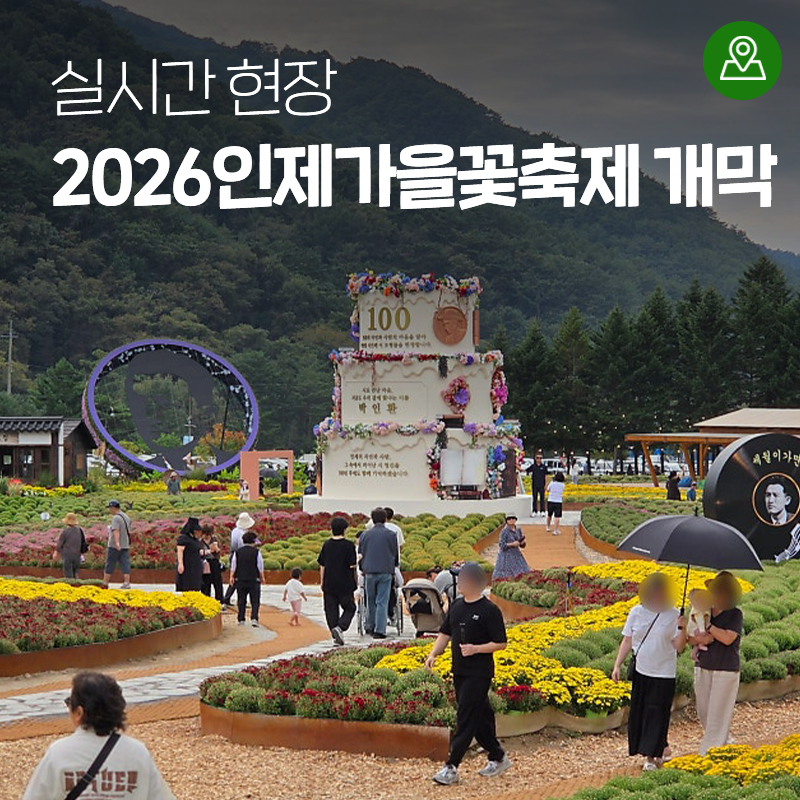 2026麟蹄秋の花祭り開幕！リアルタイム現場 [江原道麟蹄の見どころ]