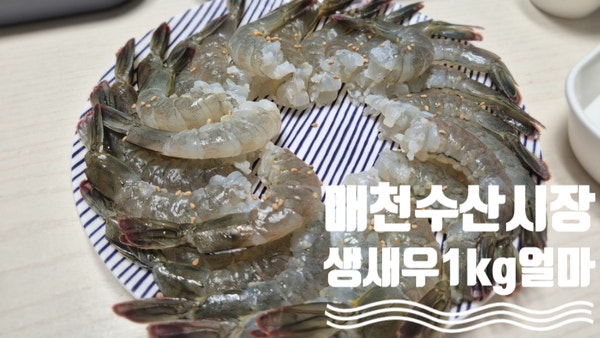 대구 매천수산시장 생새우 가격 1kg 24,000원, 꽃게까지 사 온 후기