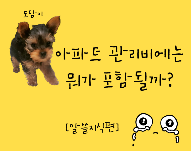 아파트 관리비에는 뭐가 포함될까? 전기세·수도세·난방비·가스비까지 총정리
