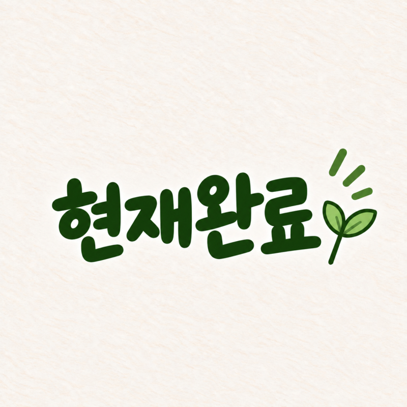 영어 시제 ⑥ 현재완료란?｜have/has + p.p. 쉽게 정리