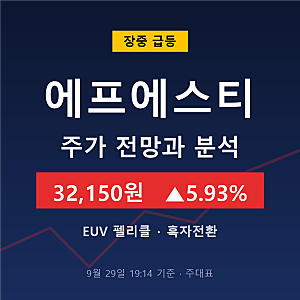 에프에스티 주가 전망과 분석 EUV 펠리클 및 흑자전환 실적