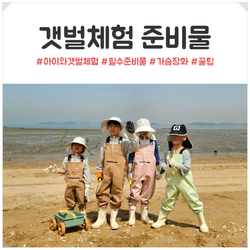 아이와 갯벌체험 준비물｜직접 다녀보니 꼭 챙길 필수 준비물, 꿀팁