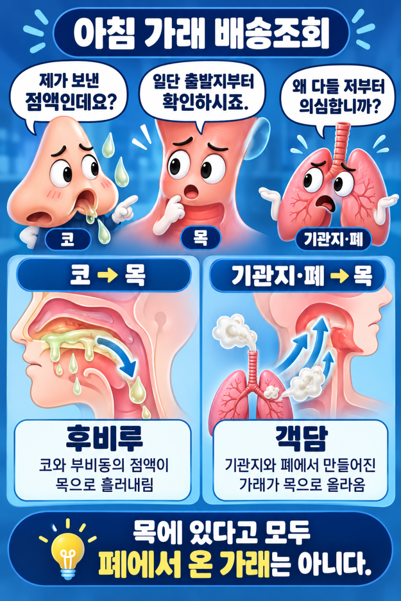 아침마다 목에 가래가 끼는 이유, 감기 때문일까? 후비루·역류도 확인해야 하는 이유