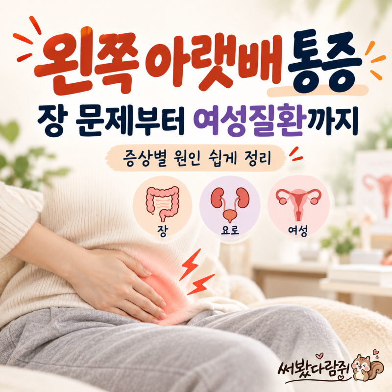 왼쪽 아랫배 통증 원인은? 장 문제부터 여성질환까지 확인해요
