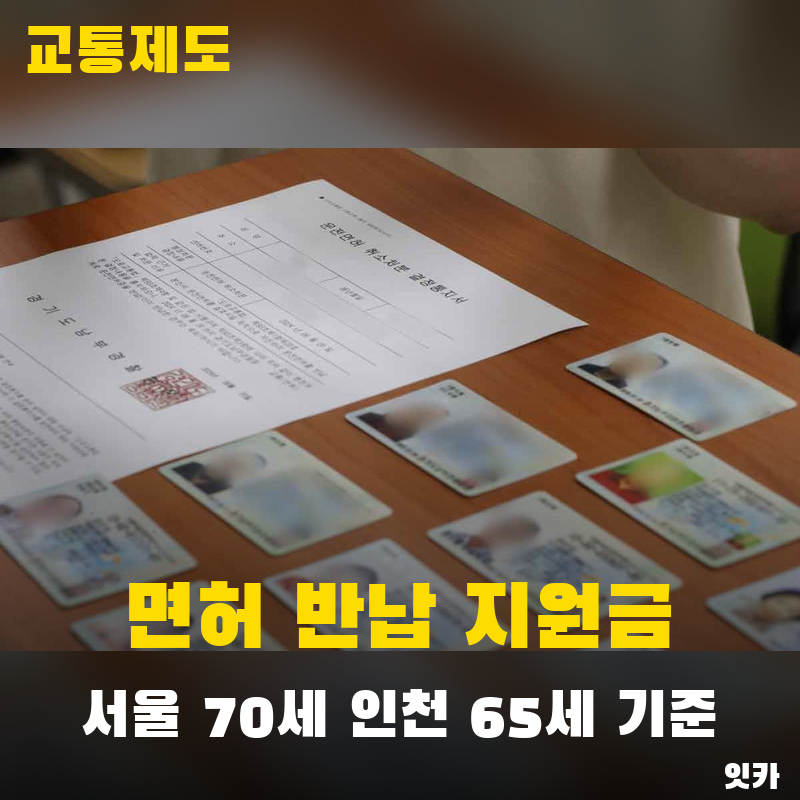 부모님 면허 반납 지원금 얼마? 서울 70세·인천 65세 기준과 신청법