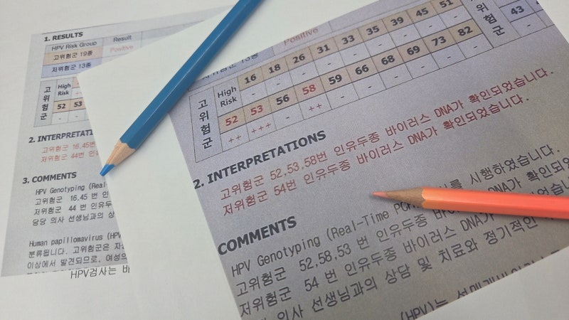 인유두종바이러스 양성 자궁경부암 진행 확률
