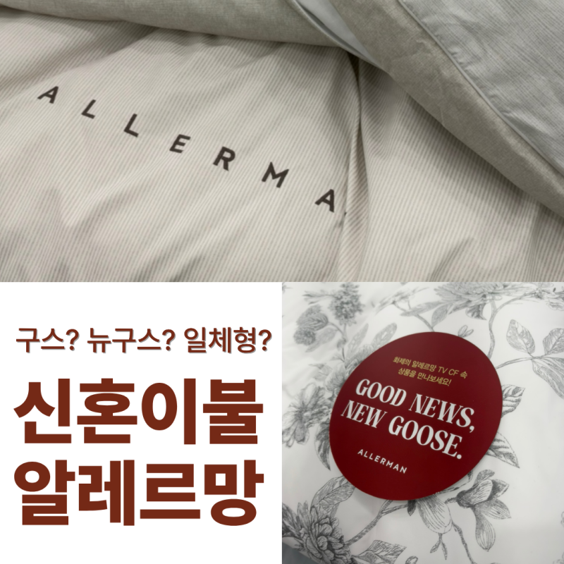 신혼이불 추천, 알레르망 구스 일체형 구매 후기｜가격부터 선택 이유까지