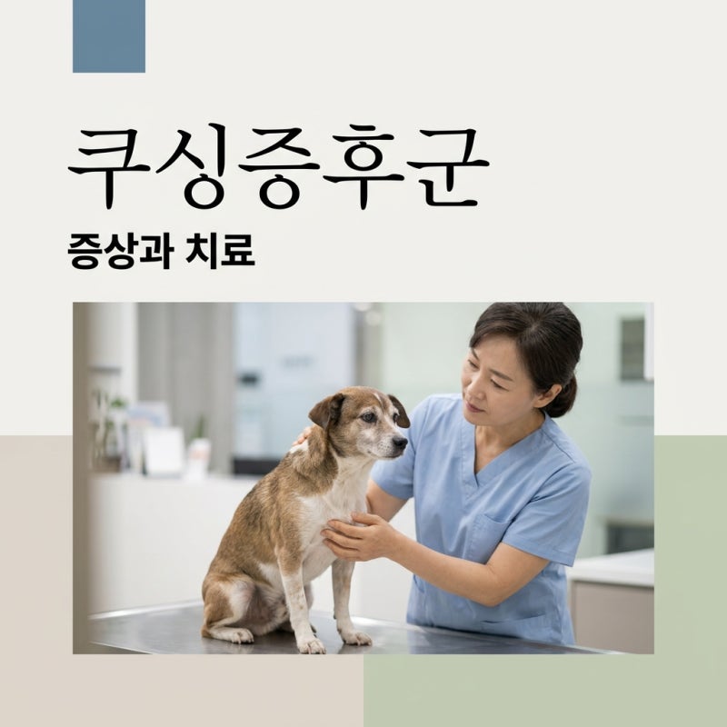 강아지 쿠싱증후군 초기 증상부터 원인과 치료 관리 방법