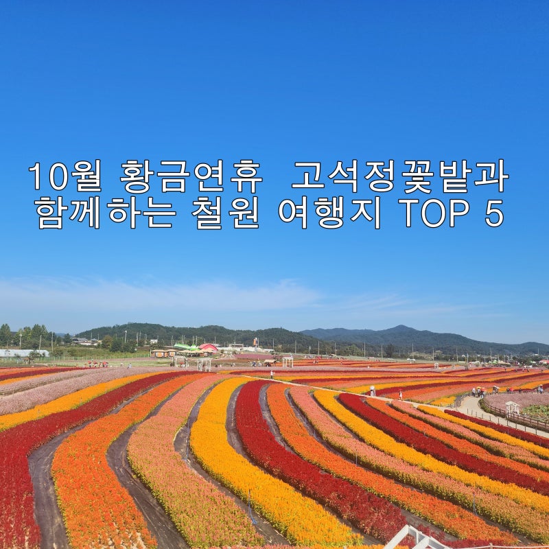 10월 황금연휴 고석정꽃밭과 함께하는 철원 여행지 TOP 5