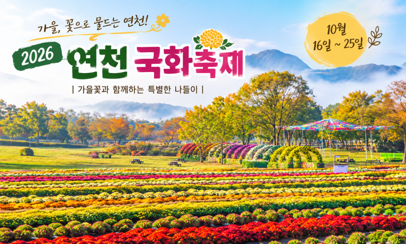 2026 전국 국화축제 일정 총정리｜10월·11월 가볼 만한 국화꽃축제 모음