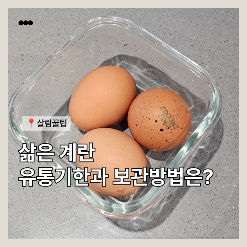 하루 지난 삶은계란 먹어도 괜찮을까? 유통기한과 냉장 실온 보관 차이