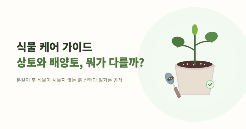 분갈이하고 식물이 시들었다면? 상토와 배양토의 차이