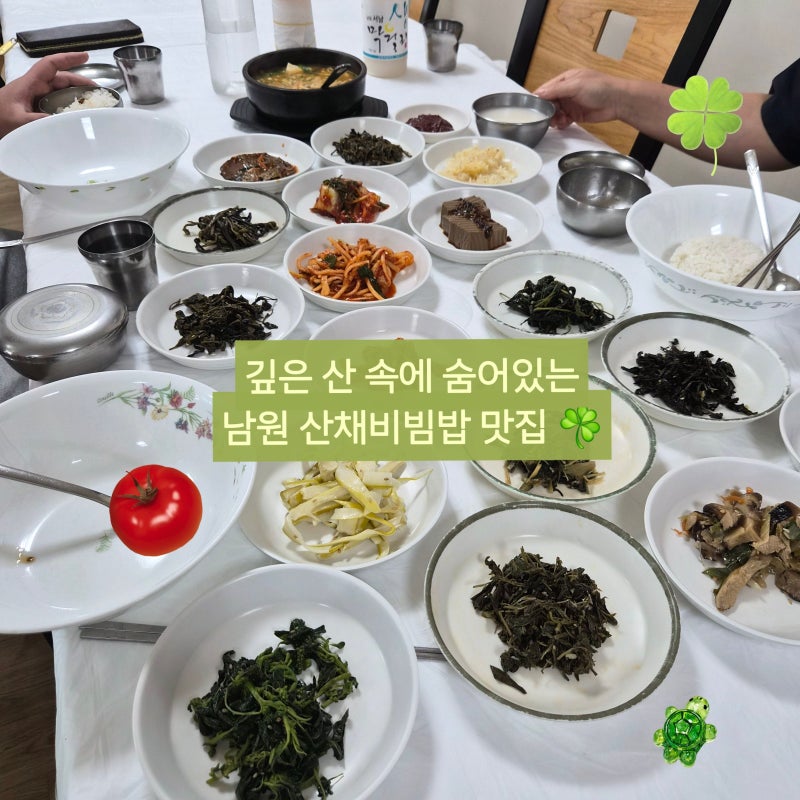 남원 대성식당｜지리산에서 직접 채취한 산나물로 만든 산채비빔밥 맛집
