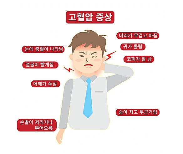 침묵의 살인자 고혈압 완벽 가이드: 원인부터 수치 낮추는 식단과 생활 관리법
