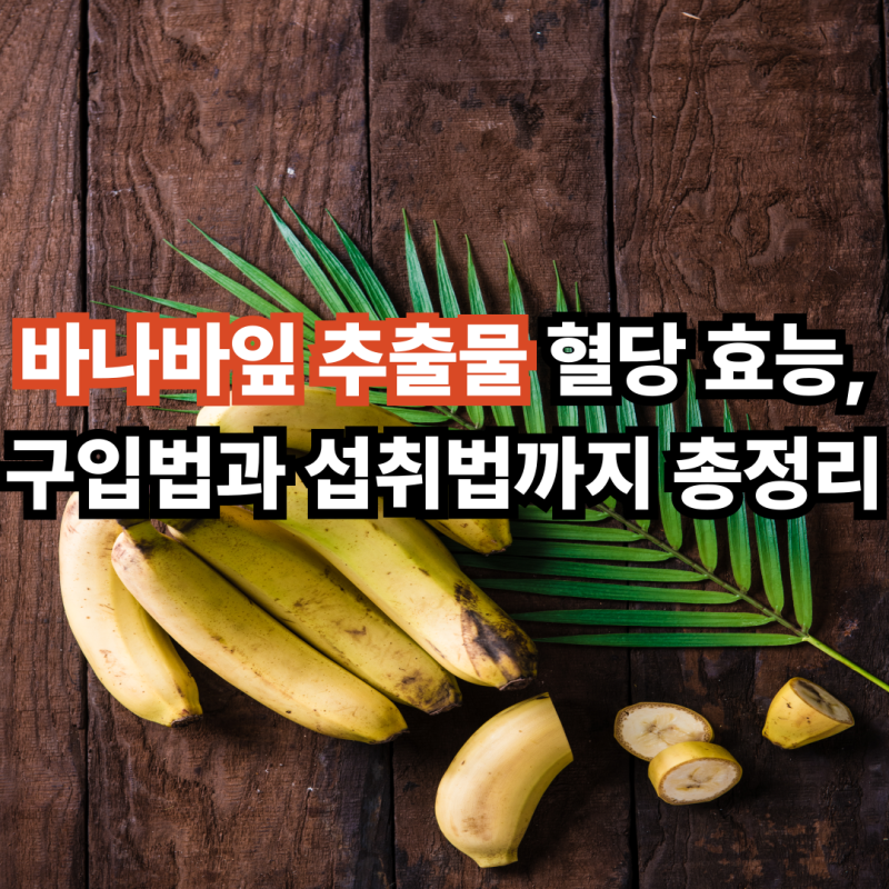 바나바잎 추출물 혈당 효능, 구입법과 섭취법까지 총정리