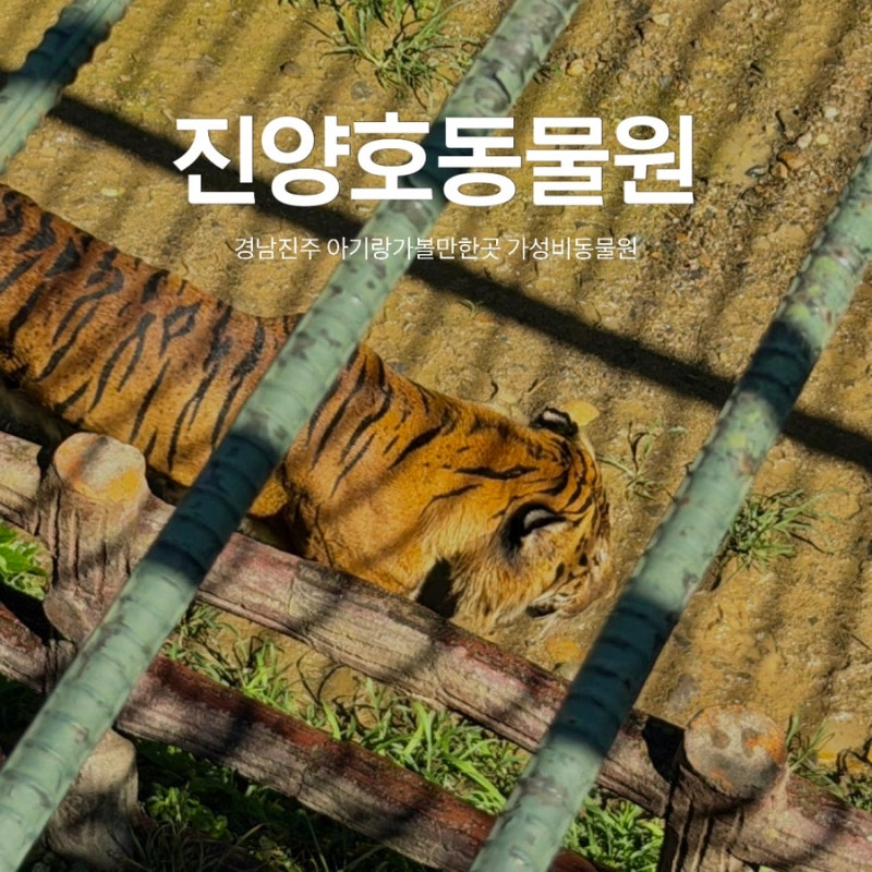경남여행 진주 아기랑 가볼만한곳 가성비 좋은 진양호 동물원